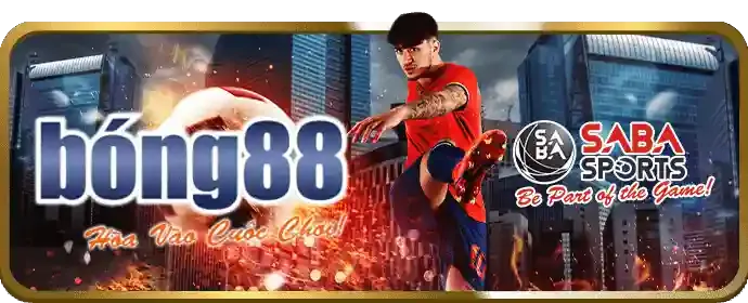 Đường dây nóng 98vn